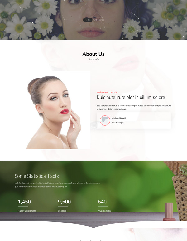 Beauty Skin – About Us template screenshot