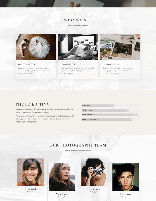 Fancy Wedding – About Us template screenshot