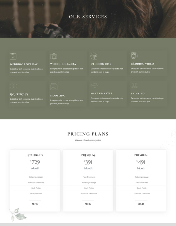 Fancy Wedding – Services template screenshot