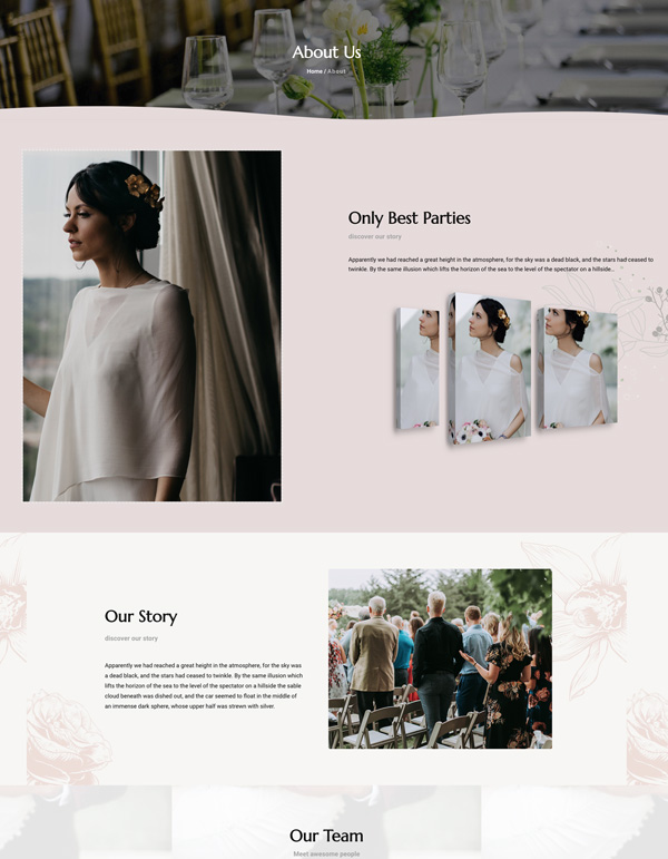 Taysta – About Us template screenshot