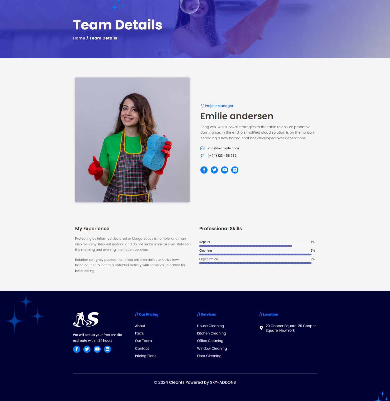 Clean Up – Team Details template screenshot